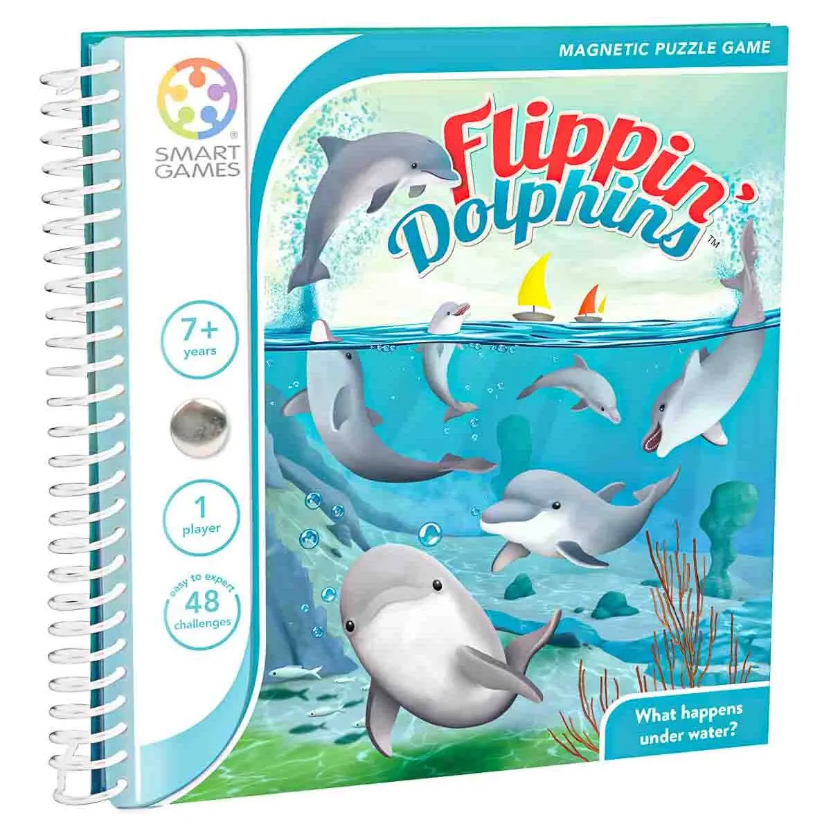 Flippin' Dolphins Magnetic Puzzle Game 1
