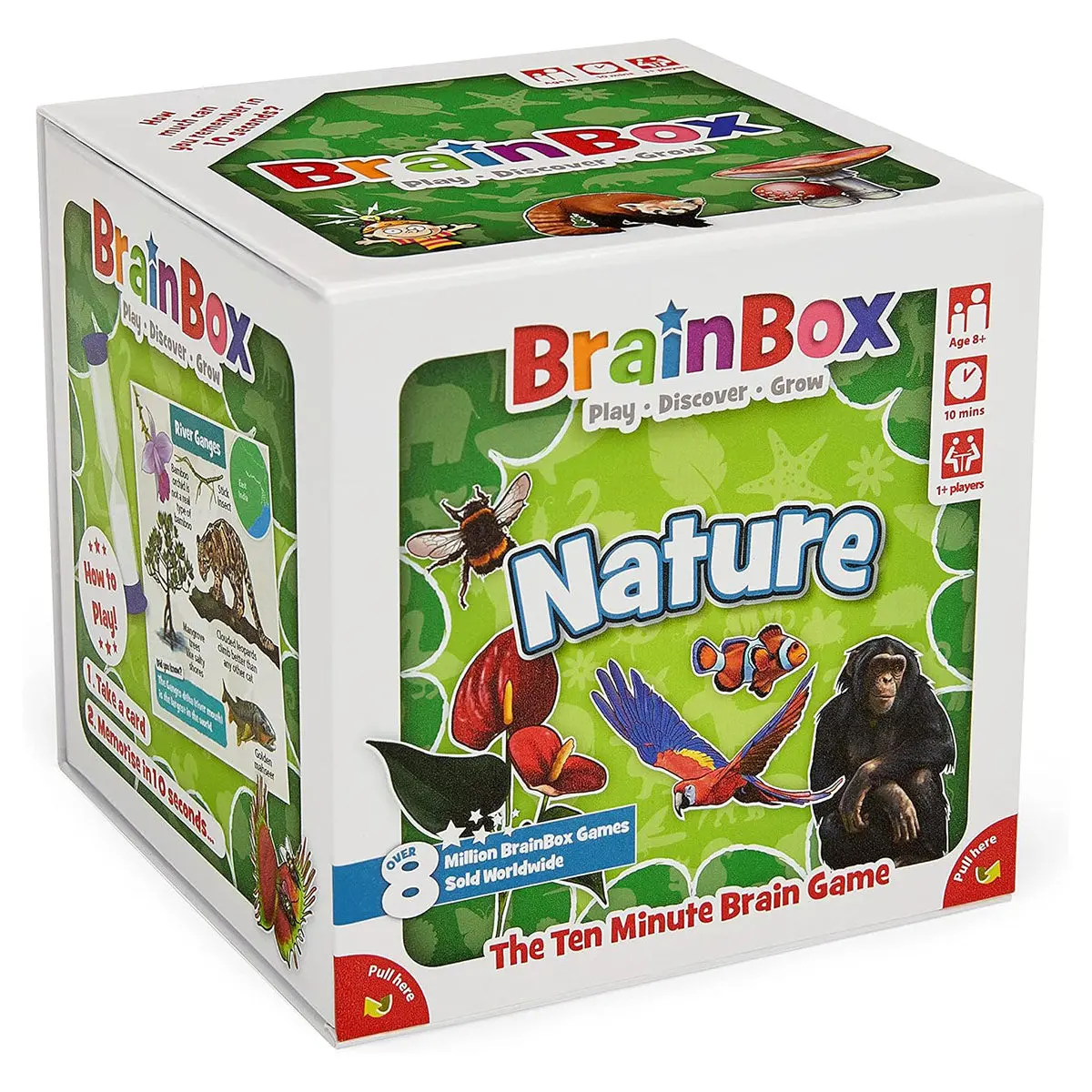 Brainbox Nature Card Game 1