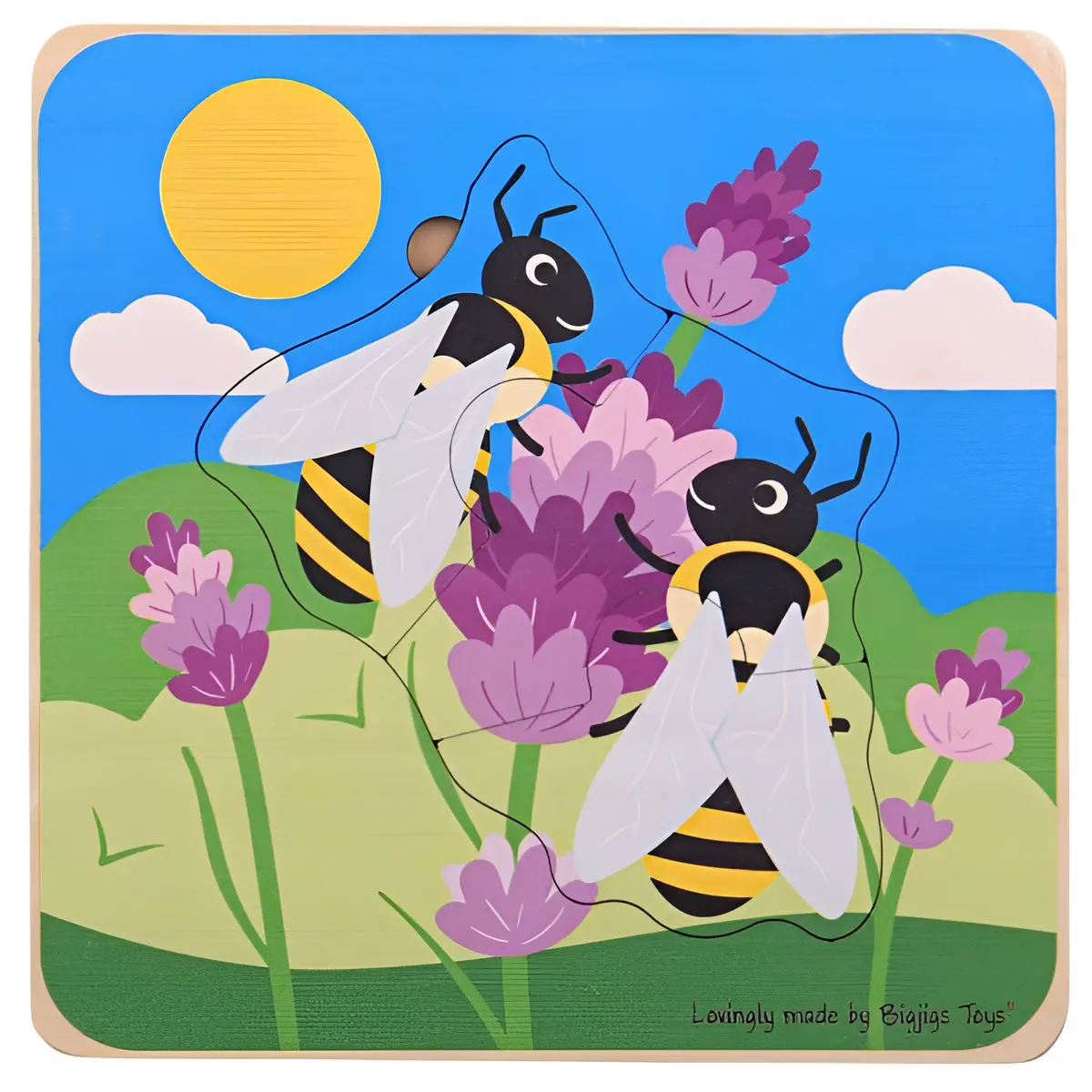Honeybee Life Cycle Layer Puzzle 1