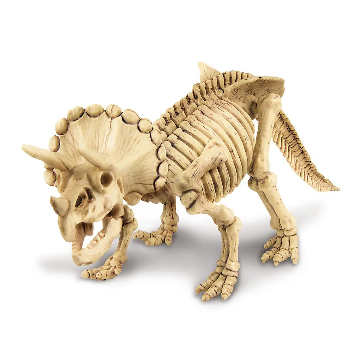 Dinosaur Dig A Skeleton - Triceratops 1
