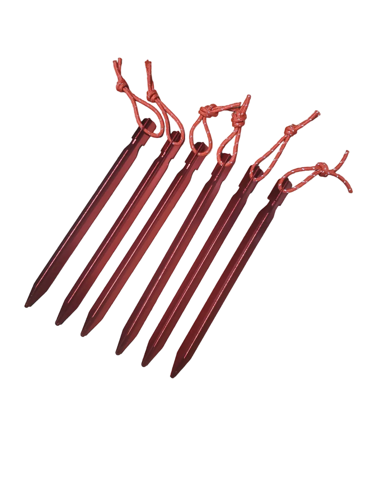 Rbo Armadillo Tent Stake - 6 Pack 1