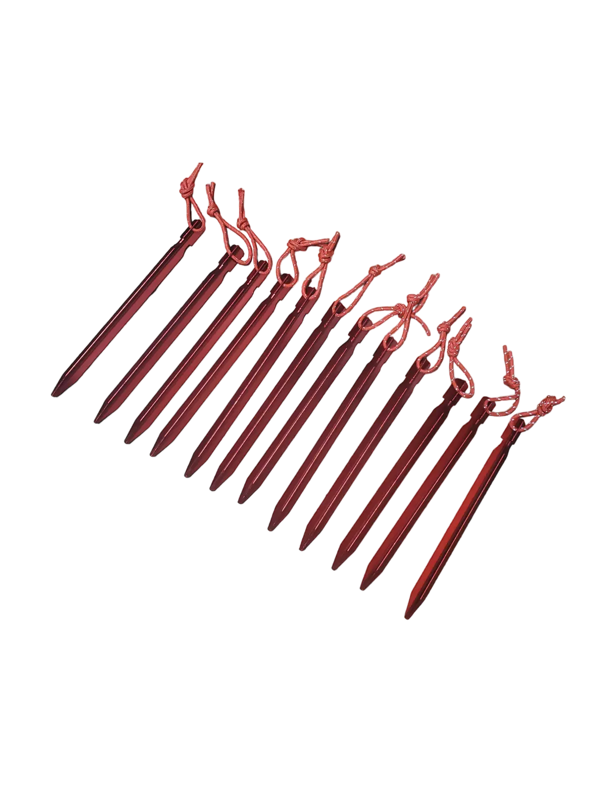 Rbo Armadillo Tent Stake - 12 Pack 1
