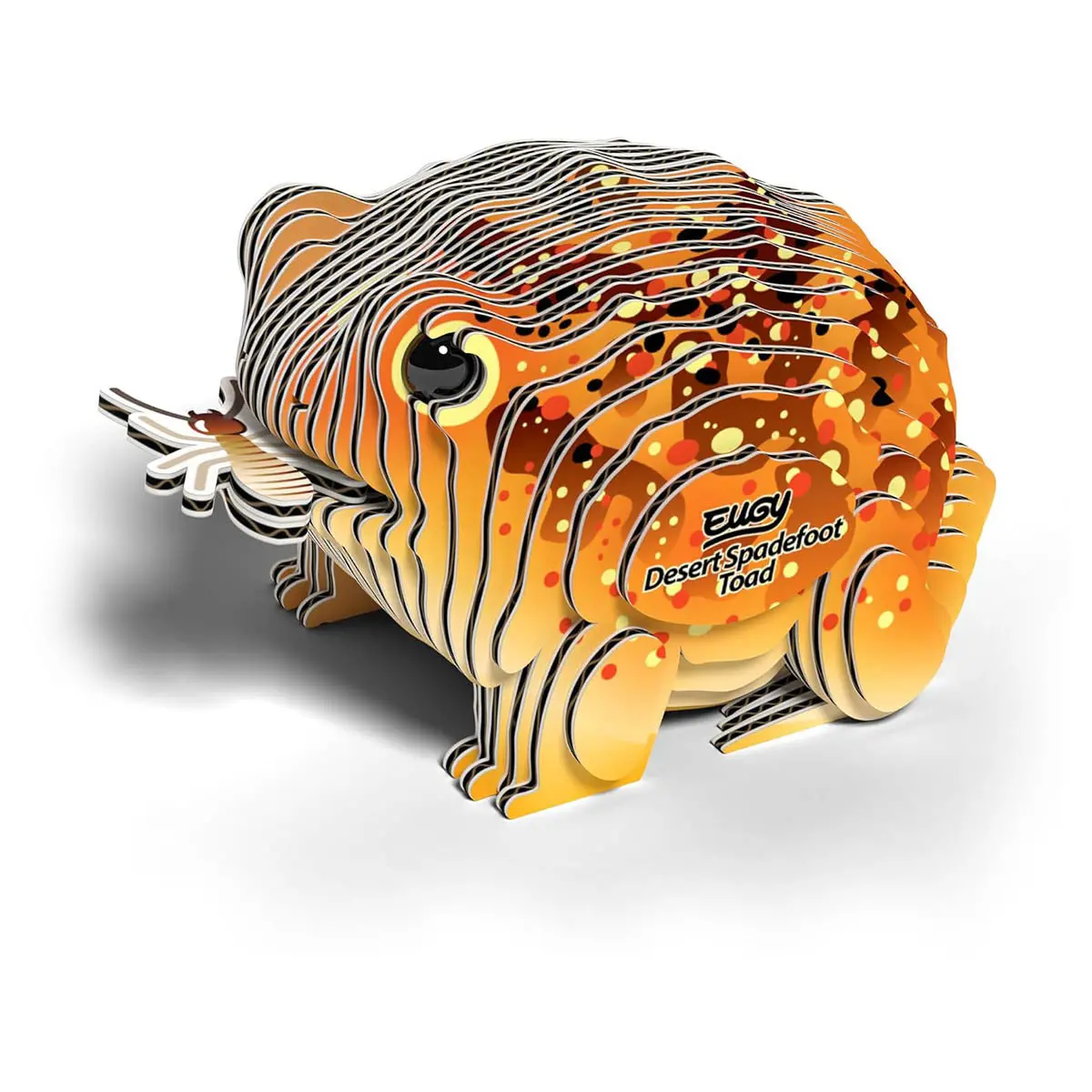 Eugy Desert Spadefoot Toad 3D Cardboard Model Kit 1