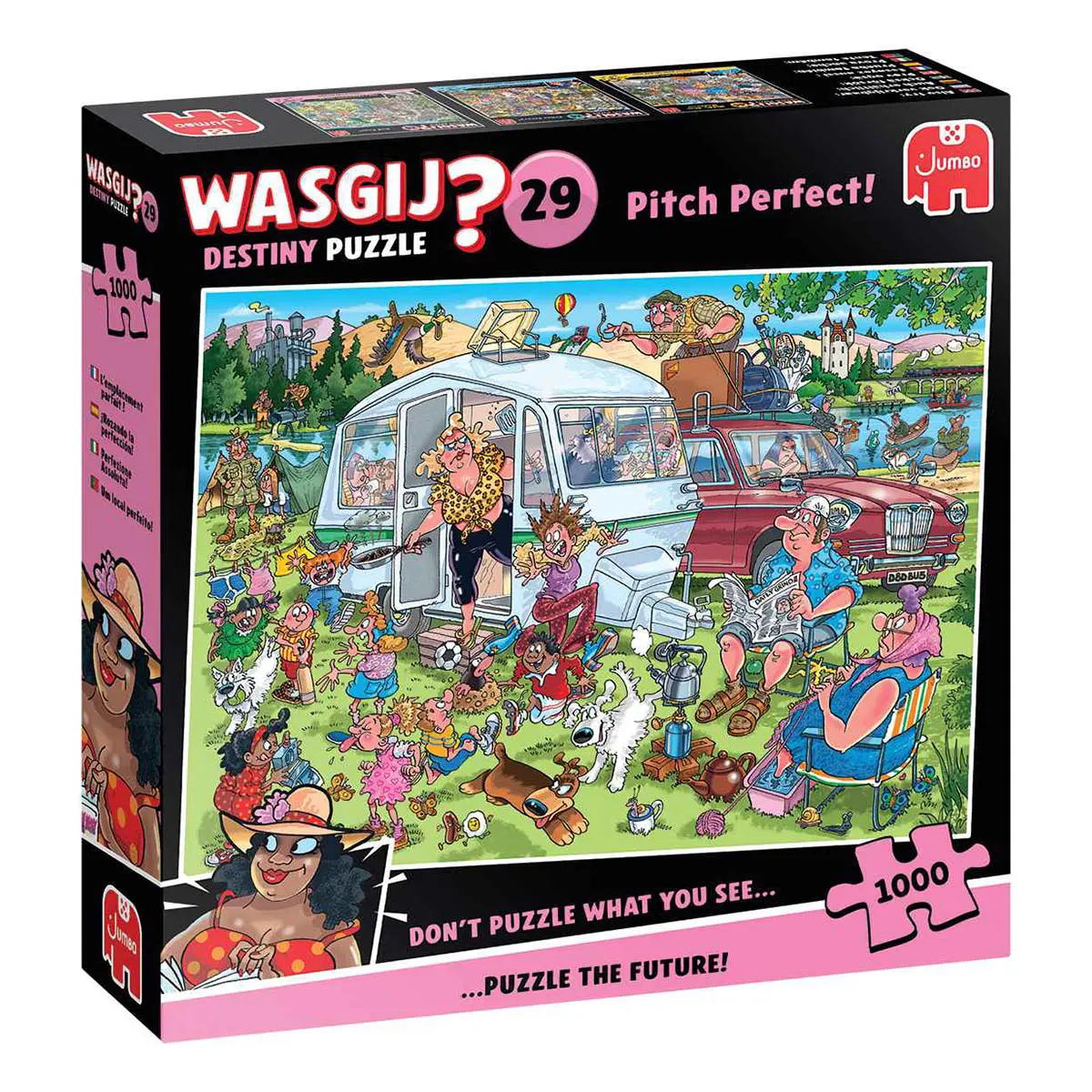 Wasgij? Destiny 29: Pitch Perfect! 1000 Piece Jigsaw Puzzle 1