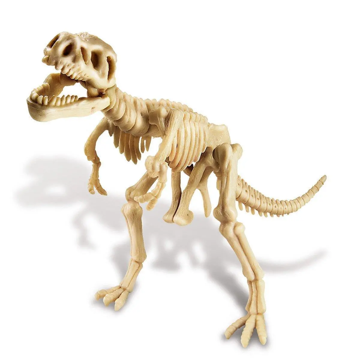Dinosaur Dig A Skeleton - T-Rex 1