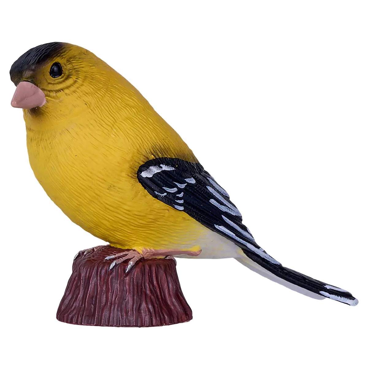 American Goldlfinch Figure 1