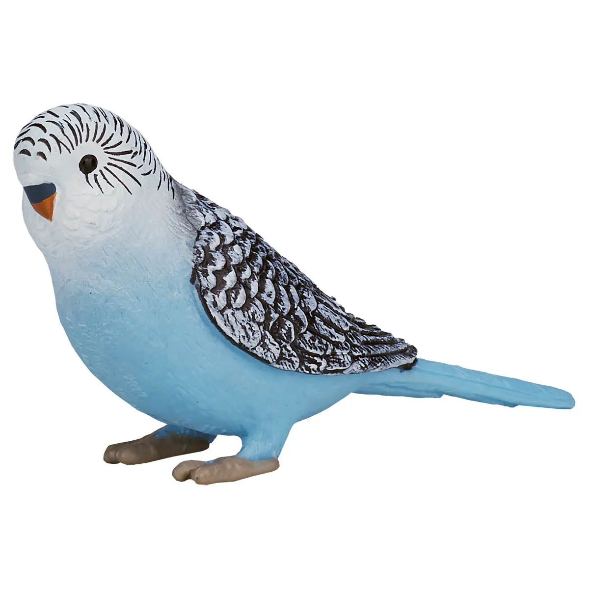 Budgerigar Blue Figure 1