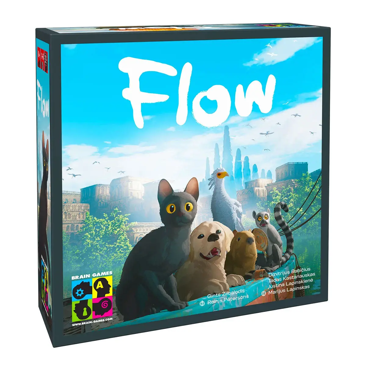 Flow Board Game 1
