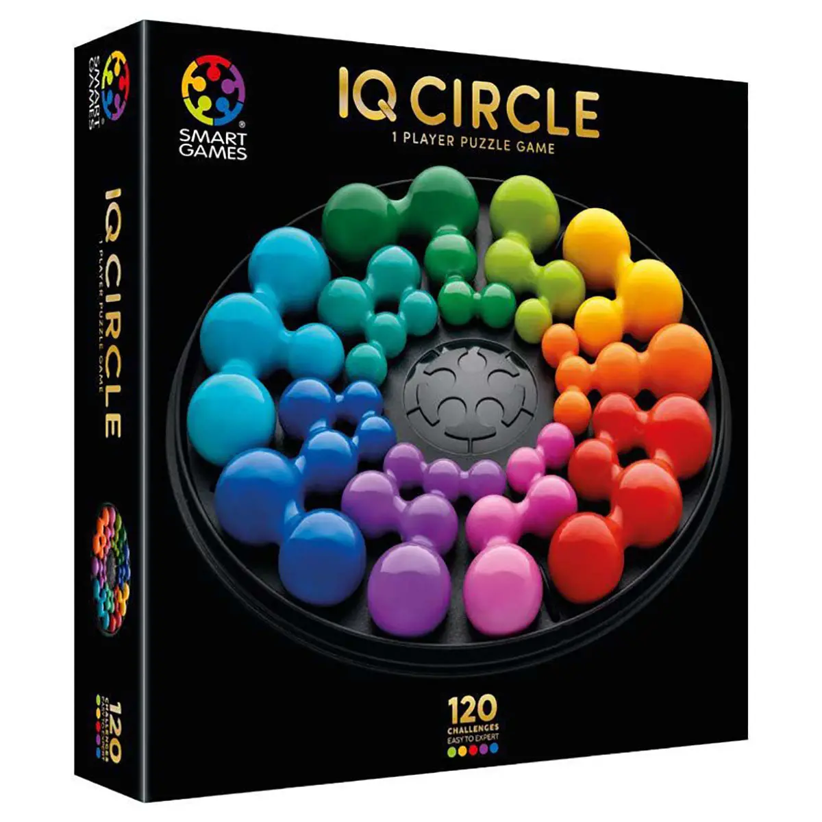 Iq Circle Puzzle Game 1