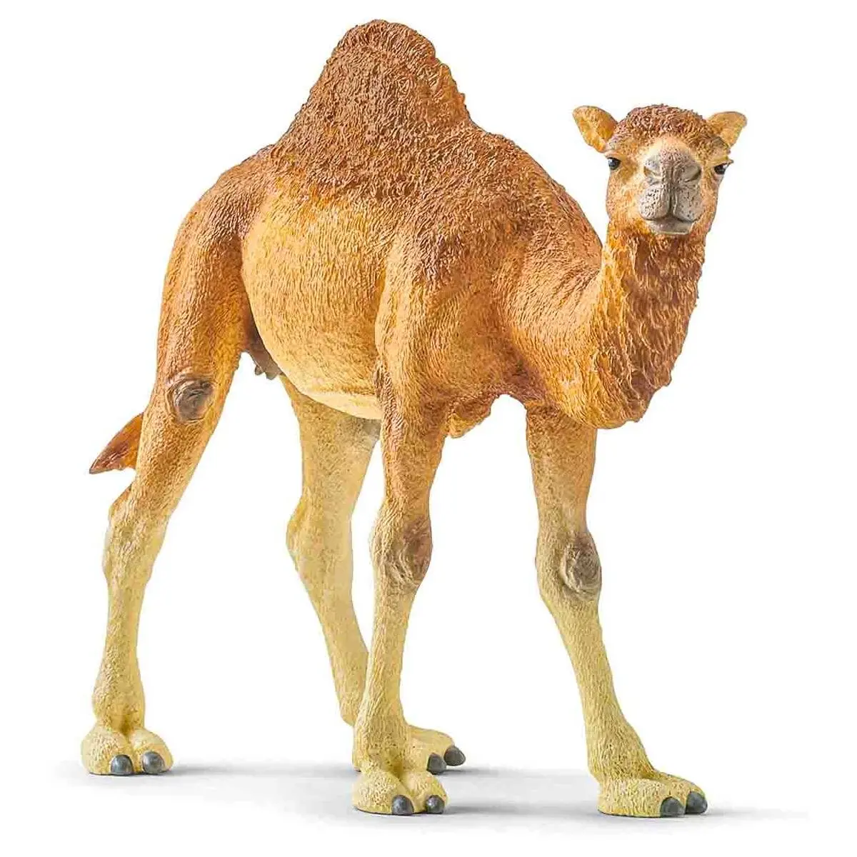Schleich Wild Life Dromedary Figure 1