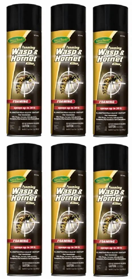 Green Thumb Hg-187976 17.5 Oz Can Of Foaming Wasp & Hornet Spray - Quantity Of 6 1
